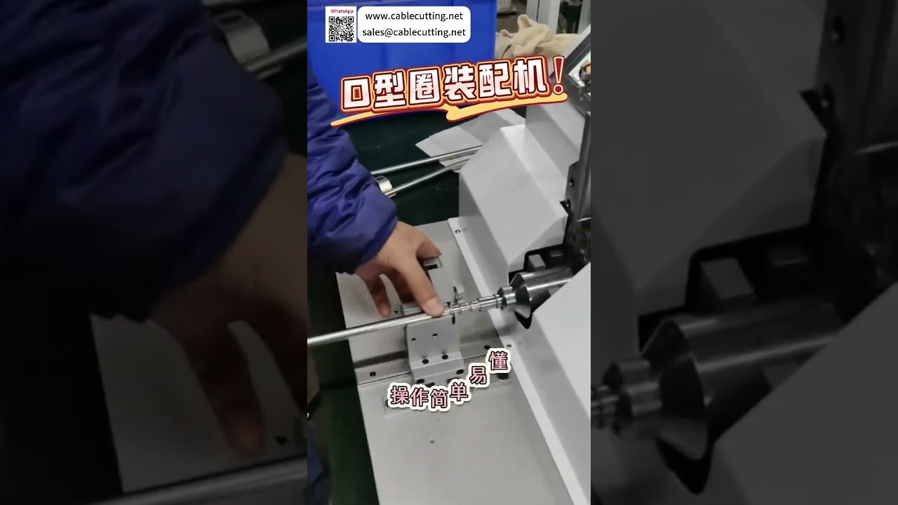 Máquina Automática de Ensamblaje de Anillos Tóricos: Estructura Mecánica de Precisión para Sellado Eficiente