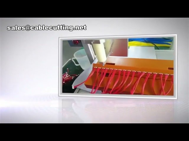 Máquina Dosificadora Automática | Dispensador Industrial de Precisión