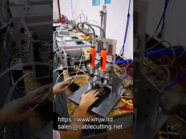 Máquina Automática de Atornillado con Eje Z: Dispositivo de Alimentación Automática y Movimiento Vertical