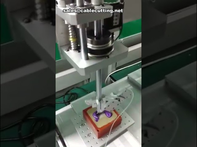 Dispensador de Pegamento con Eje R: Robot de Precisión para Dosificación Automática