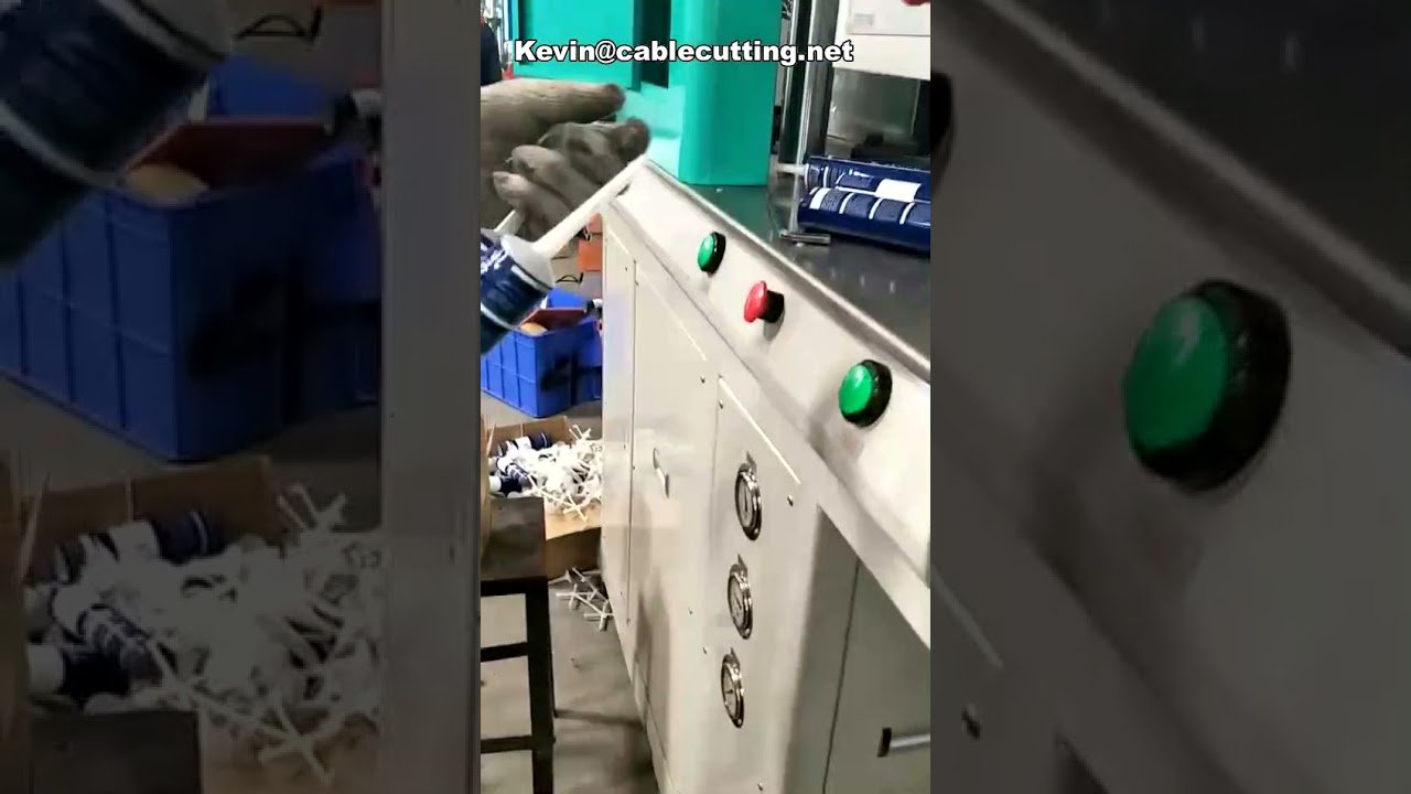 Maquinaria de Inyección de PP Personalizada con Ahorro de Energía | Fabricación Eficiente
