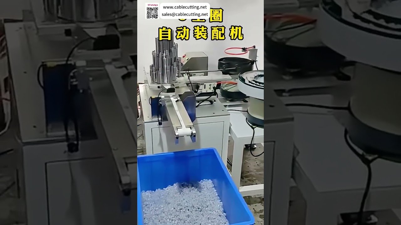 Máquina Profesional de Ensamblaje de Circlips | Línea de Maquinaria Automática de Precisión Personalizada