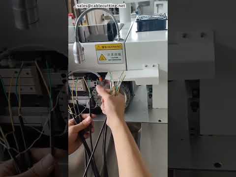 Máquina Automática de Horneado e Impresión de Tubos para Numeración | Fábrica