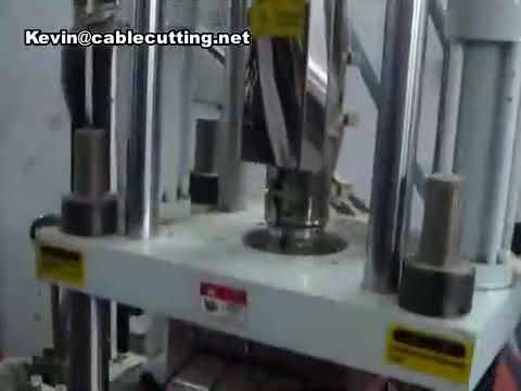 Máquina de Moldeo por Inyección Vertical 120t para Fabricación de Juguetes Plásticos - ¡La más económica!