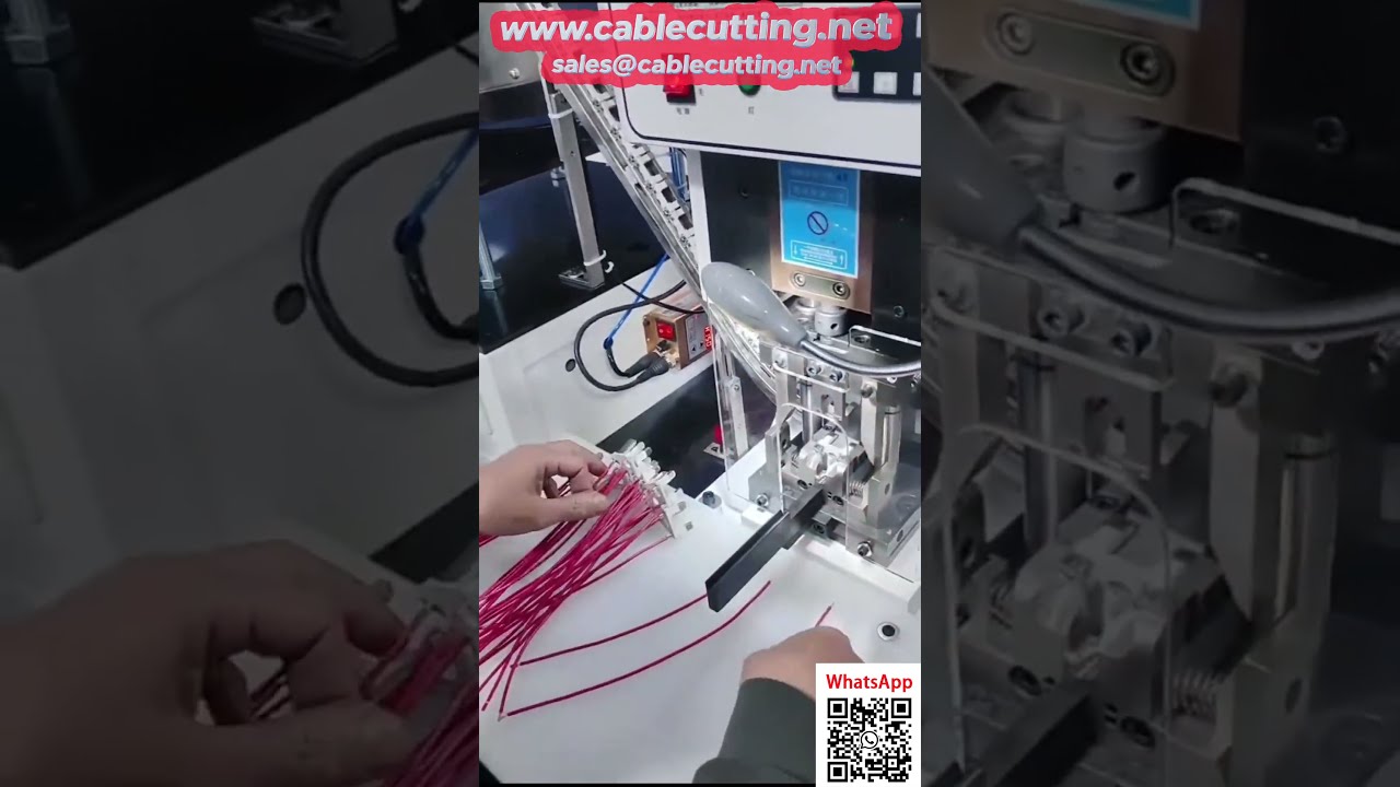 Prensa de crimpado automática personalizada para enchufes de 3 clavijas con alimentación automática