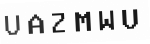 Verification Code Image